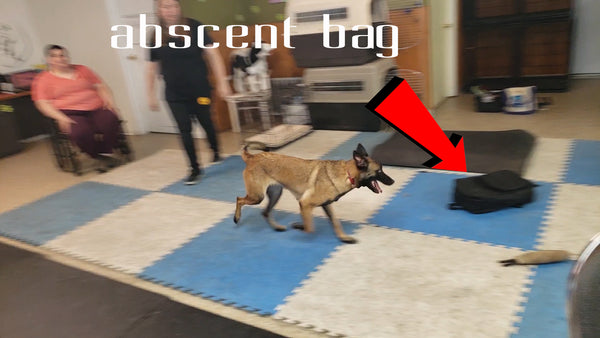 Smell Proof Backpack by Abscent Vs Trained K9 **Video Proof Inside**